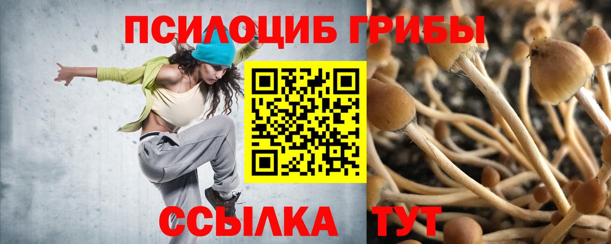 Галлюциногенные грибы мухоморы Еманжелинск